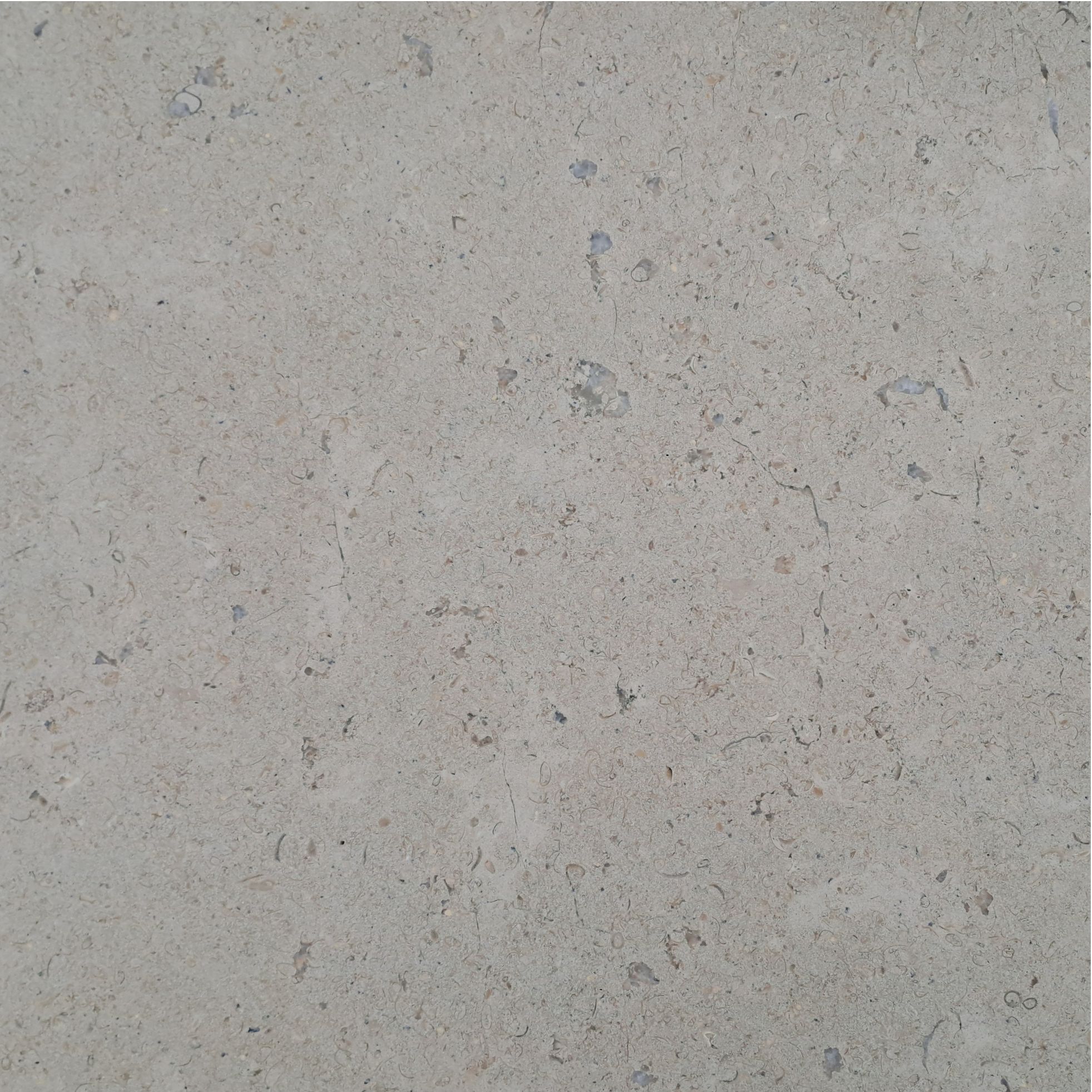 Sinai Pearl Marble