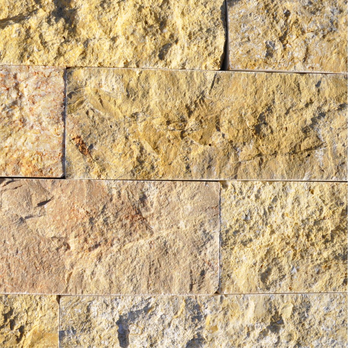 Dark Yellow Split Face Wall